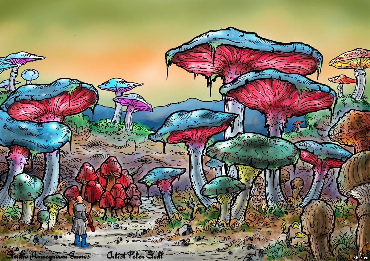 L9) Magic Mushrooms.